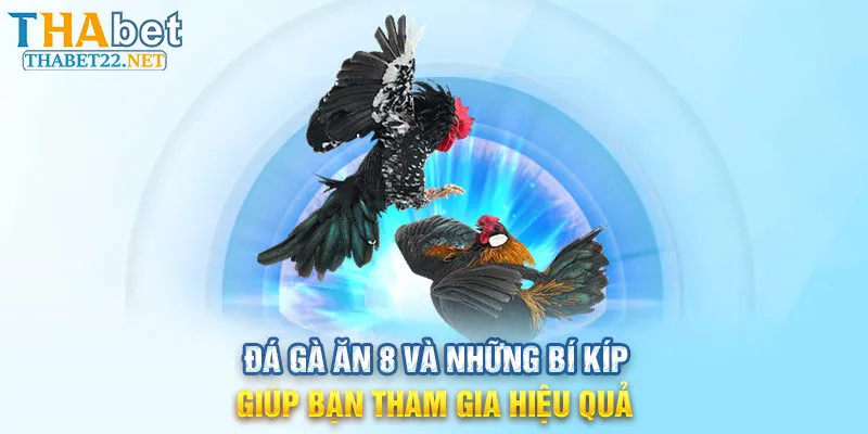 Đá Gà Ăn 8 Và Những Bí Kíp Giúp Bạn Tham Gia Hiệu Quả