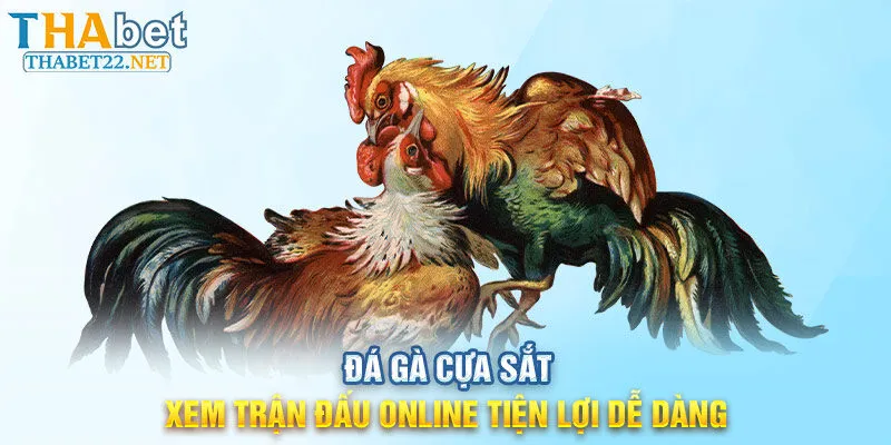 Đá Gà Cựa Sắt - Xem Trận Đấu Online Tiện Lợi Dễ Dàng