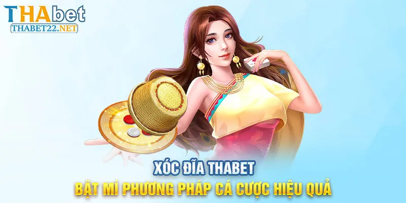 Xóc Đĩa THABET - Bật Mí Phương Pháp Cá Cược Hiệu Quả