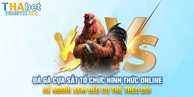 Đá gà cựa sắt tổ chức hình thức online để người xem đều có thể theo dõi