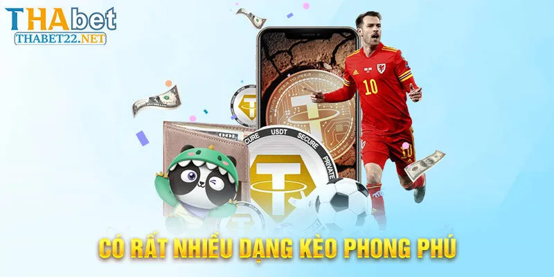 Có rất nhiều dạng kèo phong phú tại Thabet