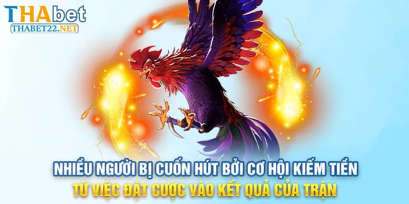 Nhiều người bị cuốn hút bởi cơ hội kiếm tiền từ việc đặt cược vào kết quả của trận