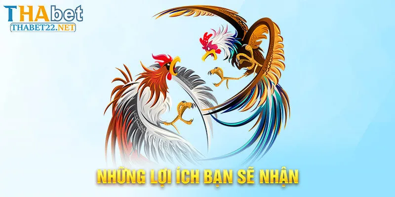 Những lợi ích bạn sẽ nhận