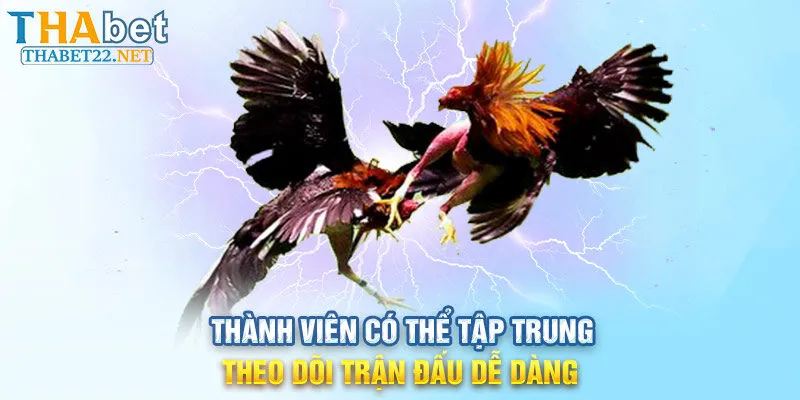 Thành viên có thể tập trung theo dõi trận đấu dễ dàng