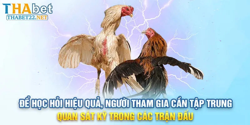 Để học hỏi hiệu quả, người tham gia cần tập trung quan sát kỹ trong các trận đấu