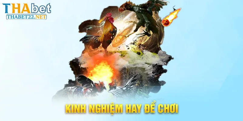 Kinh nghiệm hay để chơi