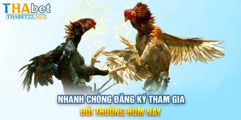 Nhanh chóng đăng ký tham gia đổi thưởng hôm nay